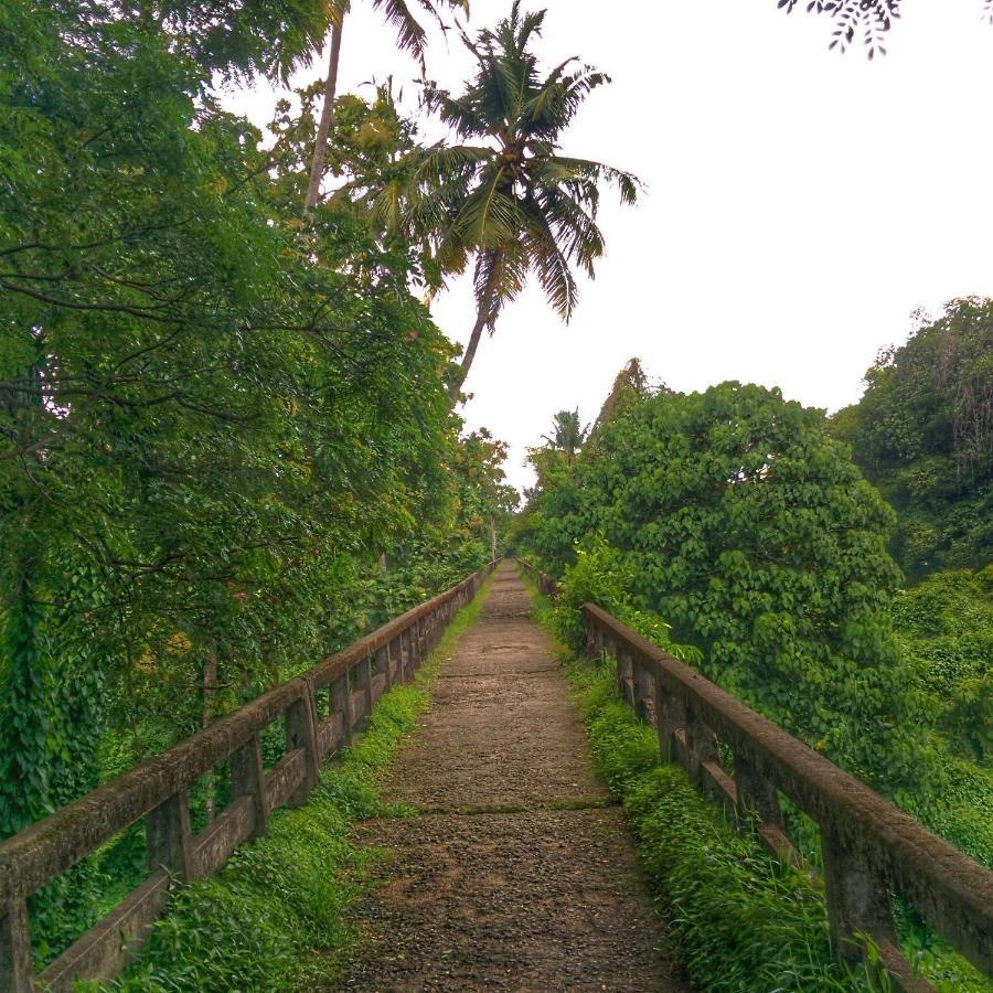 Back Packers Cochin Villa Kochi Exterior photo